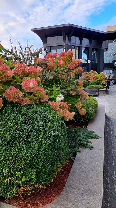 Продаж Квартира 1-кімнатна, 9/26 поверх на Оболонський вул., д. 26 Київ - фото 15