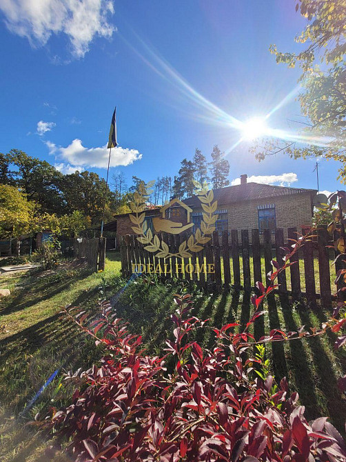 продається будинок Камянському лісництві с. Камянка Каменка (Іванківський район) - фото 8