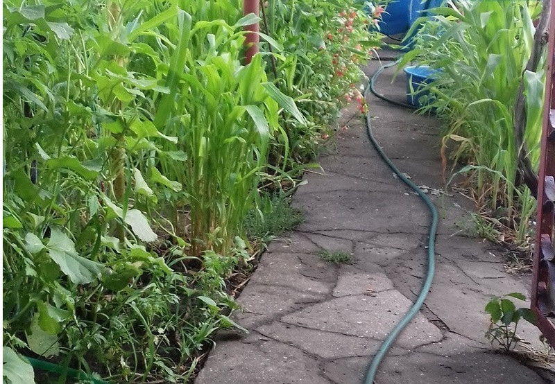 Продаж земельної ділянки 0.1 соток на ул. Вишневая, 9 Sukhyi Lyman - photo 1