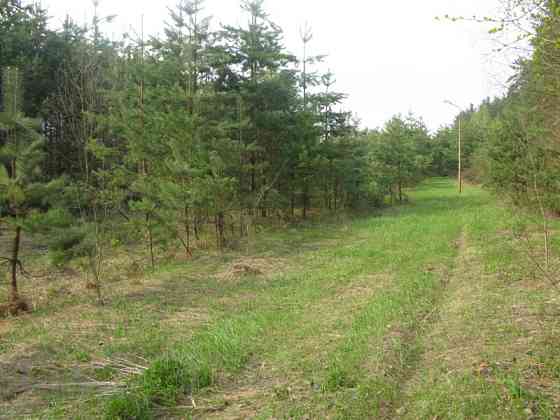 Продаж земельної ділянки 25 соток на улица Луговая, д. Евминка