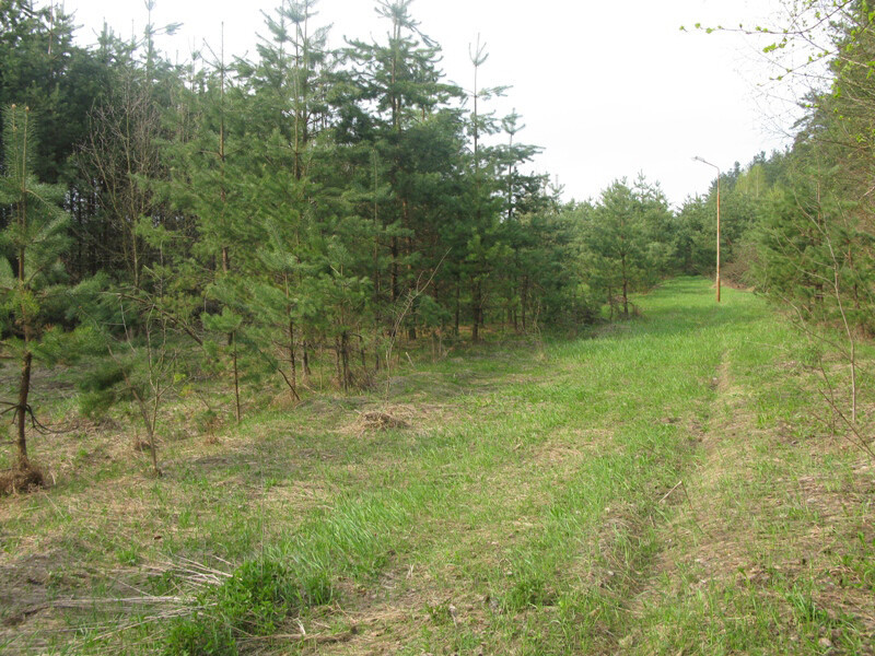 Продаж земельної ділянки 25 соток на улица Луговая, д. Евминка - изображение 5