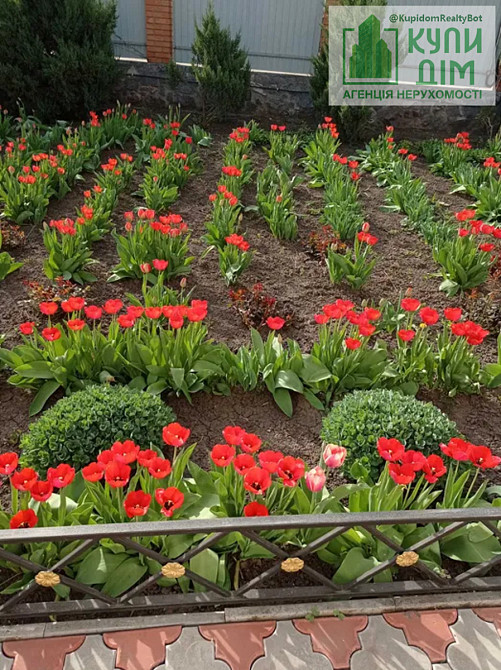 Продаж повністю автономного будинку 10 км від міста Кропивницький - фото 5