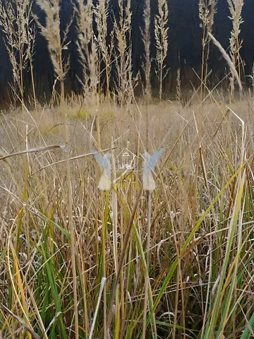 Продажа земельного участка  площадь 43 сот Лісова вулиця 1  - изображение 5