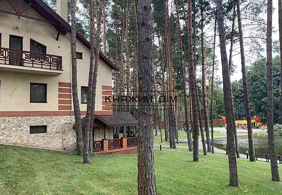 Є генератор !!! Шикарний будинок в заповідній зоні, закритий КМ. с. Кийлів. Код №138175 Кийлів