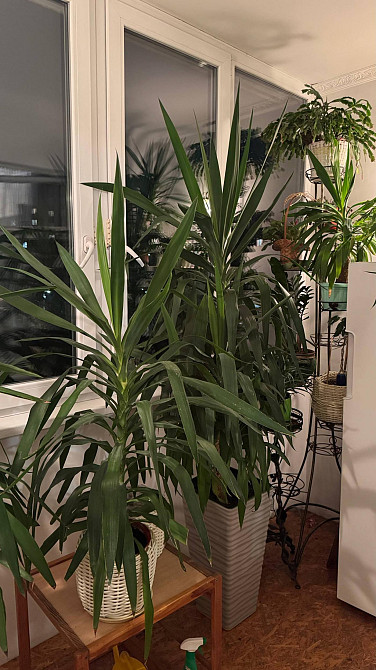 Продаж Квартира 4-кімнатна, 3/9 поверх на вул. Киівська Rivne - photo 7