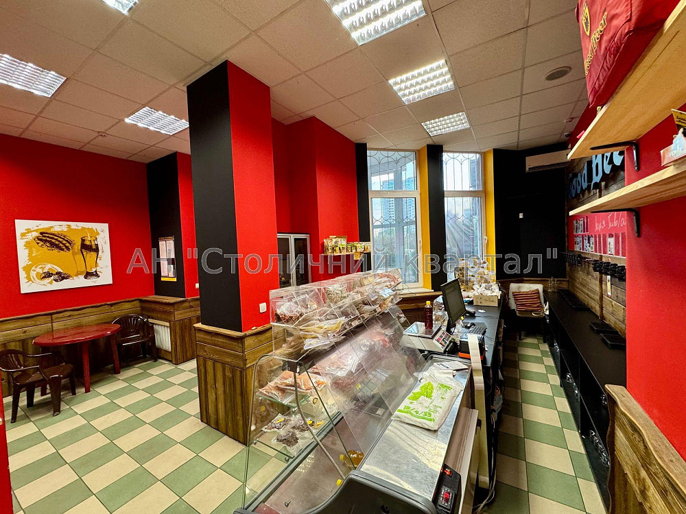 Оренда Будинок на Олени Пчілки вул., 2А Київ - фото 12