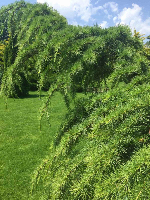 Продаж Будинок Odessa - photo 5