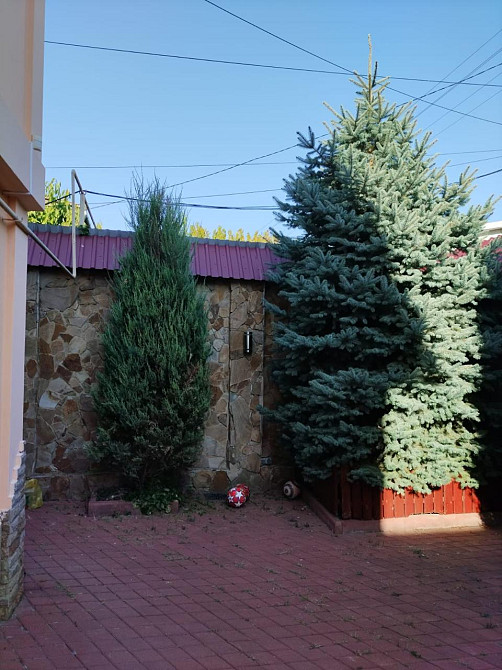 Продаётся дом с бассейном и баней в Черноморке! Одеса - фото 3