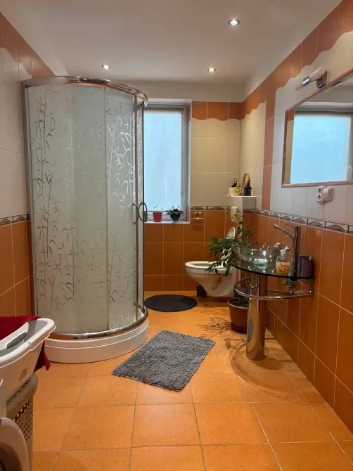 Продаж 2-поверховий Будинок з ділянкою 9.6 сот 187 кв.м 6 кімн. на Дмитра Яворницького, 94 Дніпро - фото 16