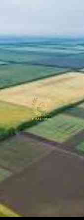 Продаж земельної ділянки 50 соток на Дружбы ул. Липівка