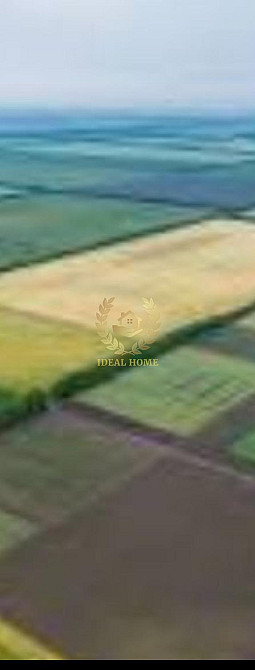 Продаж земельної ділянки 50 соток на Дружбы ул. Липівка - фото 5