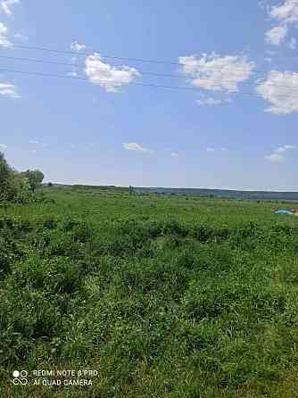 Продаж земельної ділянки — Львів (міськрада) Bibrka