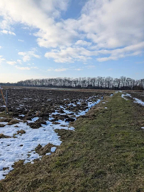 Продаж земельної ділянки 12.87 соток Оброшине - фото 7