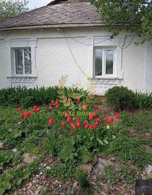 Продам будинок Київська область Білоцерківський р-н. с Медвин Медвин (Иванкивський район) - изображение 1