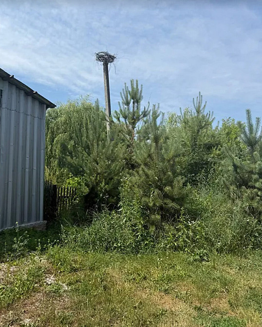 Продаж земельної ділянки 8 соток Велика Березовиця - фото 8