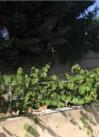 Продам дом с ремонтом в Сухом Лимане Prylymanske