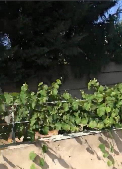 Продам дом с ремонтом в Сухом Лимане Prylymanske - photo 2