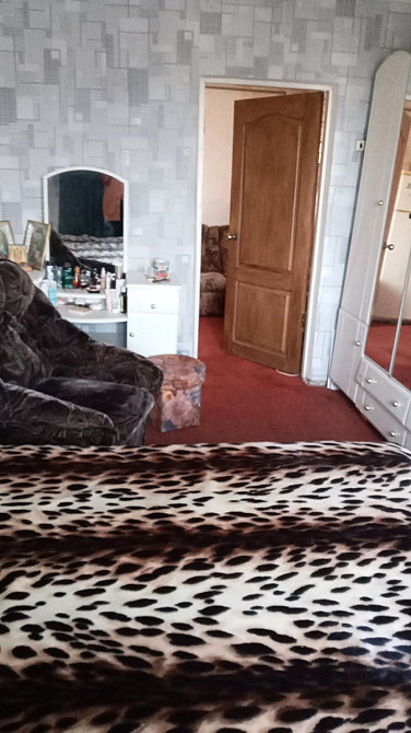 Продам дом с баней в пгт Лиманское (Раздельнянский р-н, 70 км от Одессы) Лиманське (Ренійський район) - фото 5