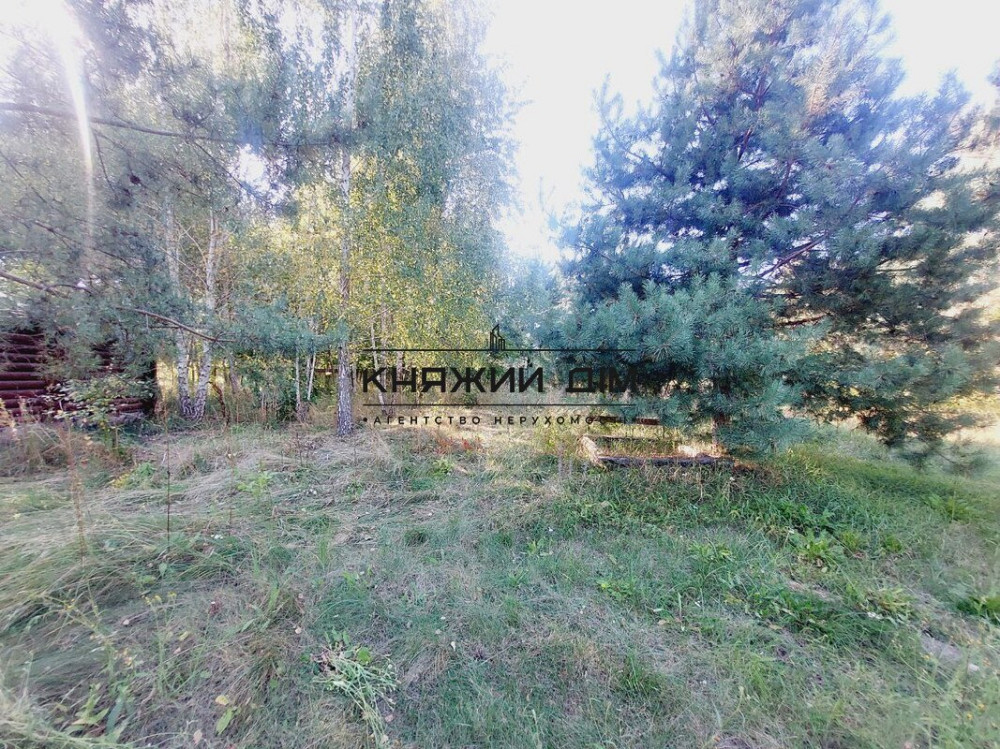 Без комісії .Є Генератор .Оренда, будинок в Колонщині . Код Об'єкта 135973 Колонщина - фото 10