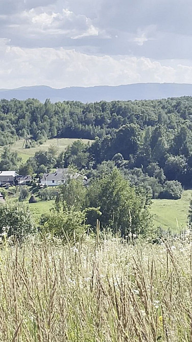 Продаж земельної ділянки 25 соток на Щорса Verbovets - photo 8