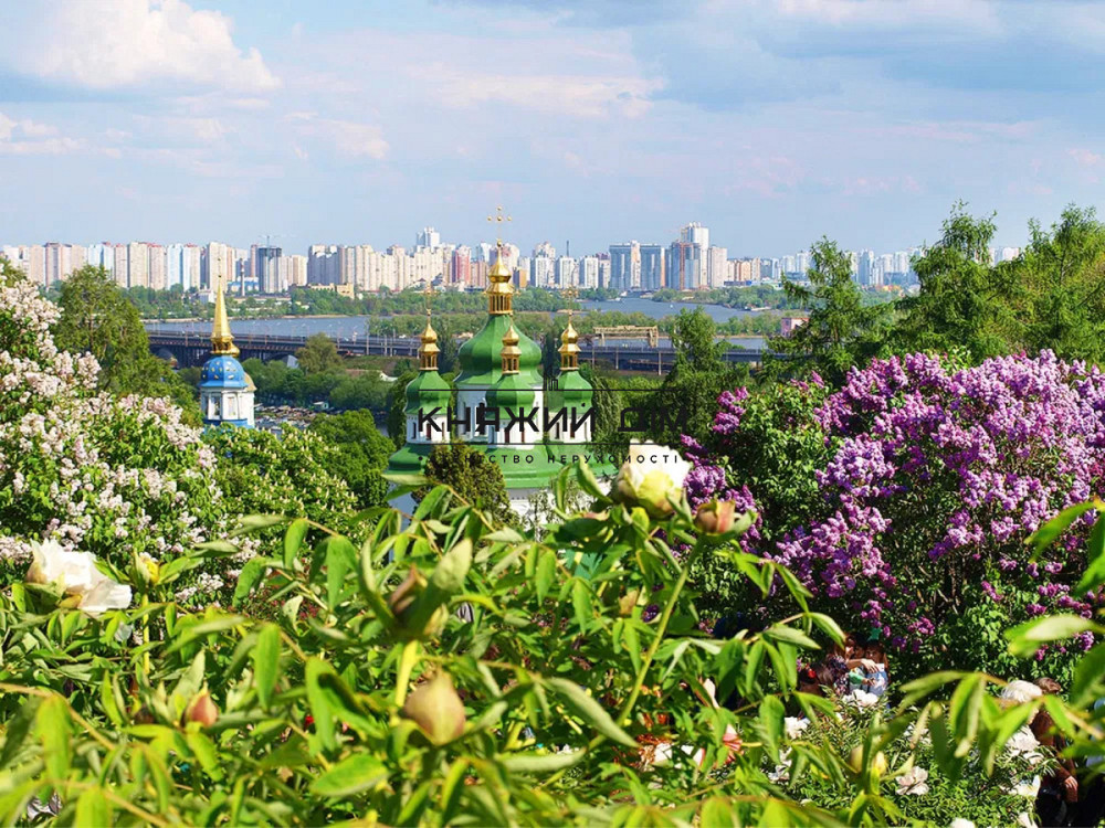 Продаж Квартира 1-кімнатна, 5/5 поверх на Бастионная ул. Київ - фото 10