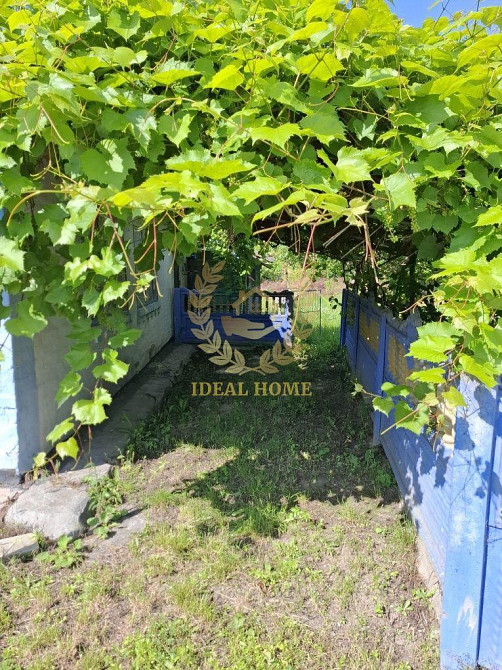 Продам затишний будинок біля лісу та річки с. Михайловка Мала Михайлівка - фото 8