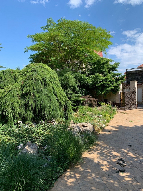 Оренда Будинок на Большой Фонтан / Фонтанская Дорога Одеса - фото 11