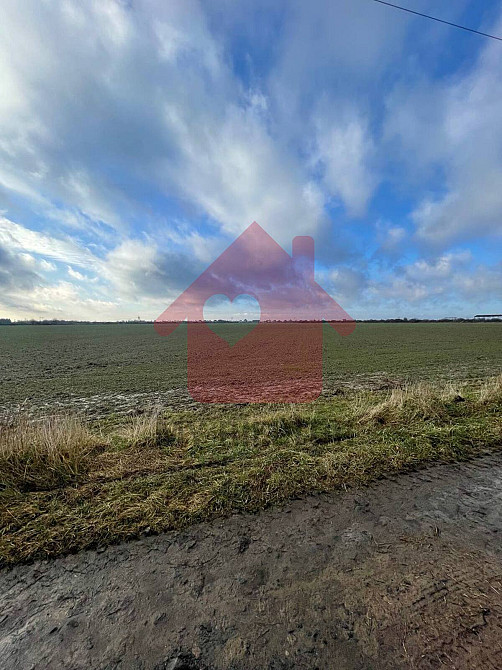 Продаж земельної ділянки 2 га  - фото 2