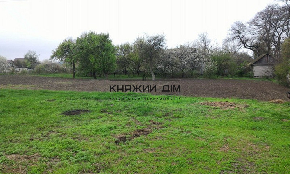 БЕЗ КОМИССИИ!!Продажа дома с участком 40 соток Дом под снос.Бориспольский р-н.№ 227576  - фото 3