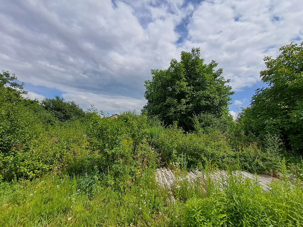 Продаж земельної ділянки 10 соток на вул. Козацька Велика Березовиця - фото 4