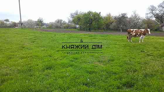 БЕЗ КОМИССИИ!!Продажа дома с участком 40 соток Дом под снос.Бориспольский р-н.№ 227576 