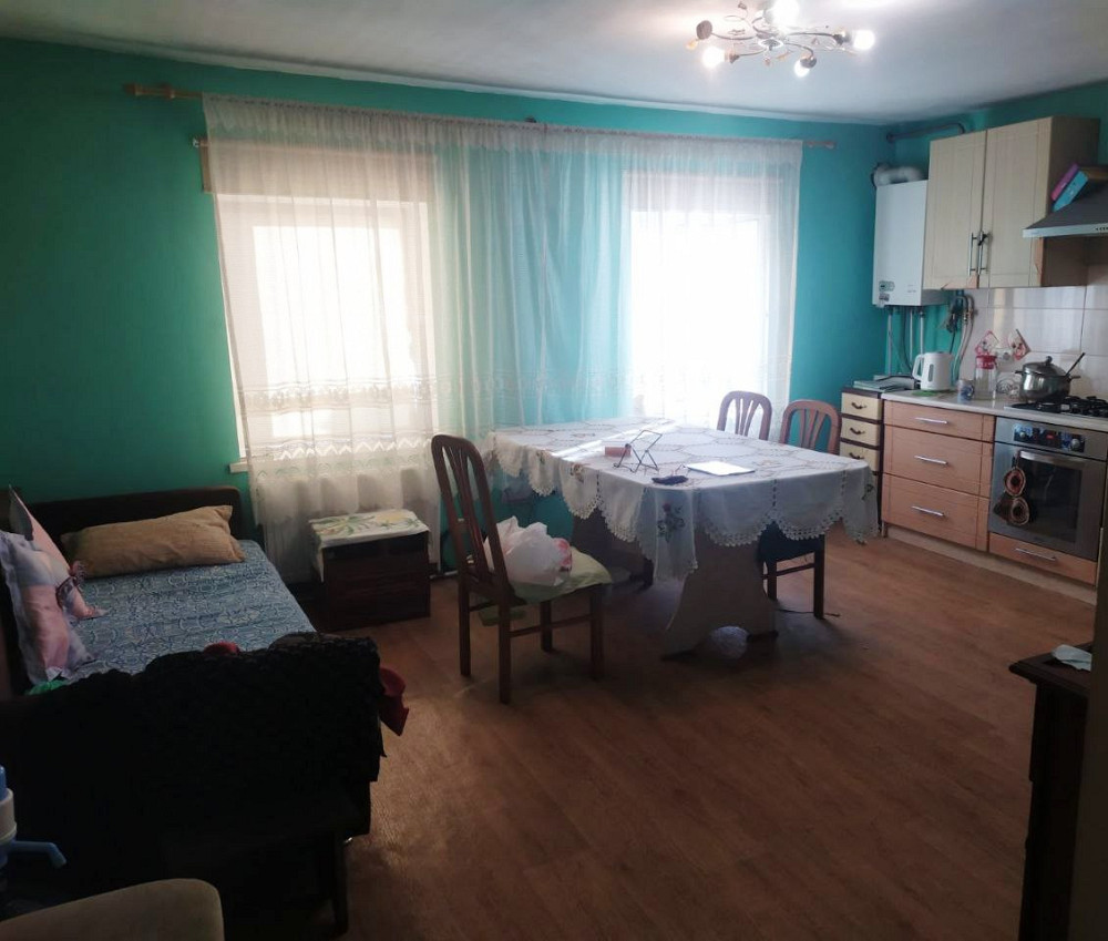 Продам капитальный дом в 20-ти км от Одессы Нова Вільшанка - фото 2