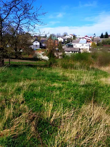 For sale land plot  area 13 ares Лісова вулиця  - photo 3