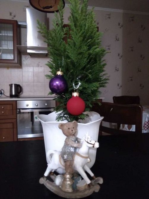 Оренда Квартира 2-кімнатна, 4/16 поверх на Велика Китаїївська, 53 Київ - фото 1