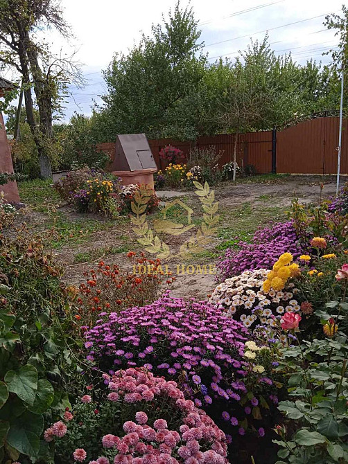 Продам будинок у Житних Горах  - фото 12