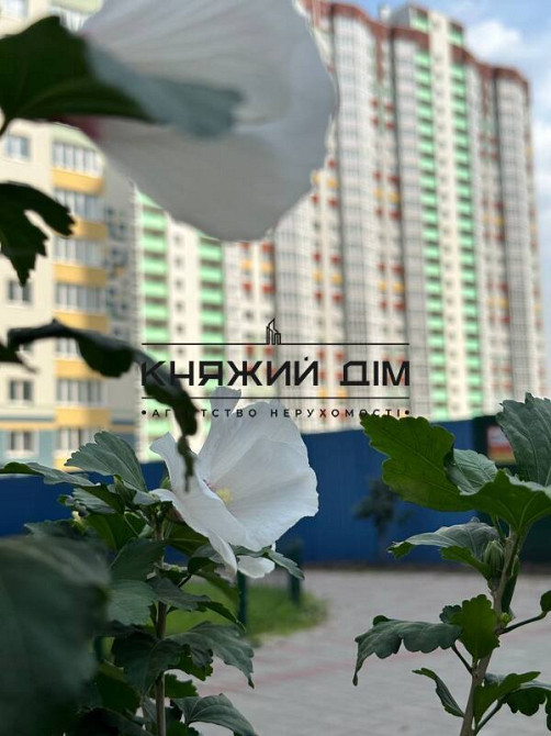 Продаж Квартира 3-кімнатна, 19/25 поверх на Гмыри Бориса ул. Київ - фото 12