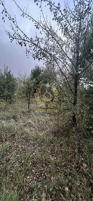 Продаж земельної ділянки 10 соток  - фото 2