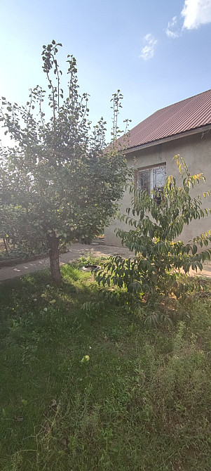 Предлагается к продаже частный дом в центре НАТИ (Нерубайское) Нерубайське - фото 7