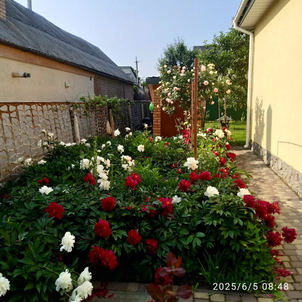 Продам будинок с.Созонівка (Опитне поле). Кропивницький - фото 8