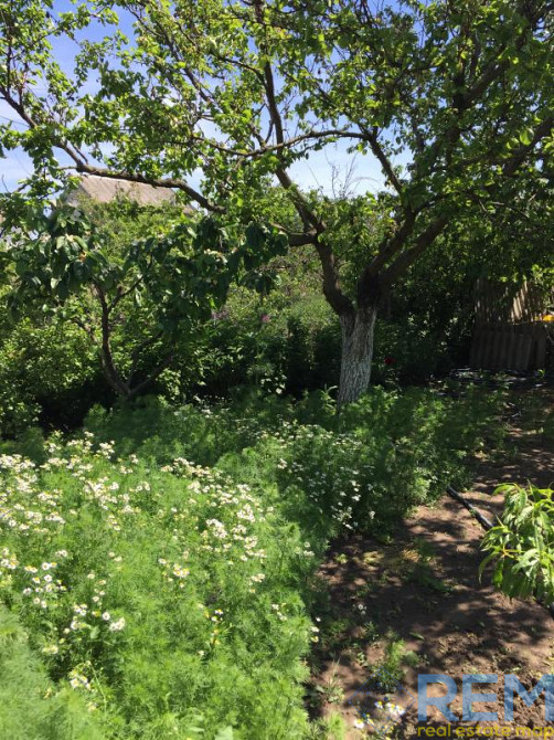 Продаж земельної ділянки 0.1 соток на ул. Шкільна, 44 Доброолександрівка - фото 9