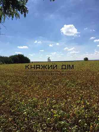 Продаж земельної ділянки 60 соток на М. Михайлюка, 45 