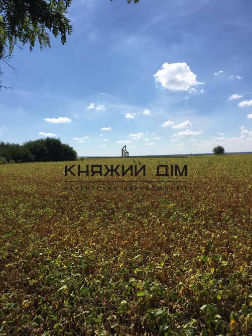 Продаж земельної ділянки 60 соток на М. Михайлюка, 45  - фото 6