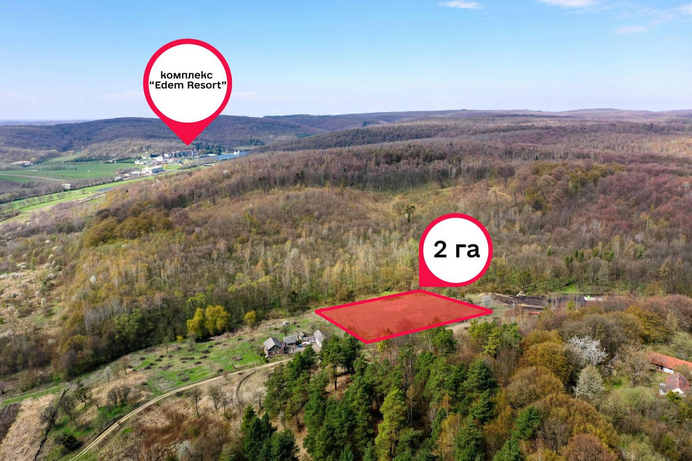 Продаж земельної ділянки 2.01 га Бібрка - фото 1