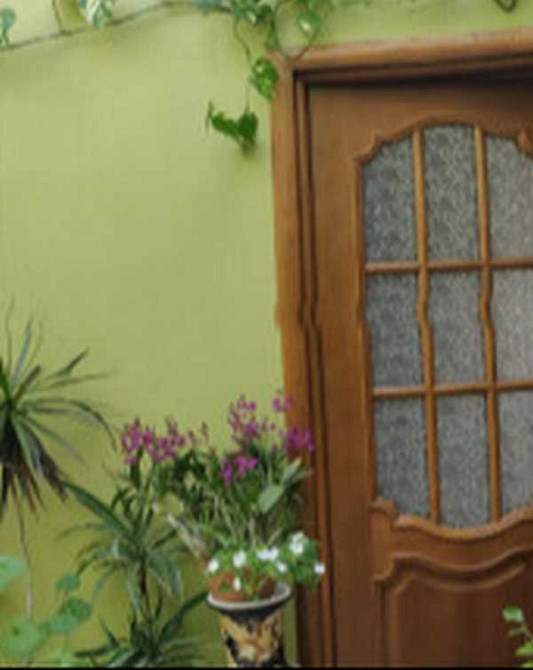 Продам ДОМ на берегу лимана Протопопівка - фото 7