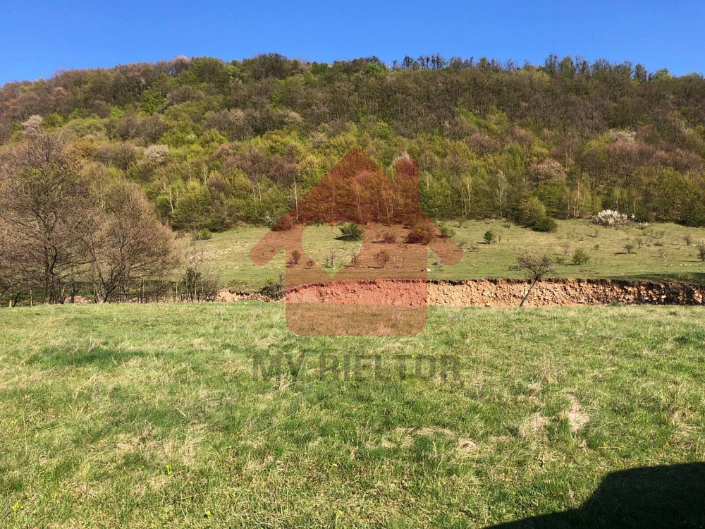 Продаж земельної ділянки 1 га  - изображение 7