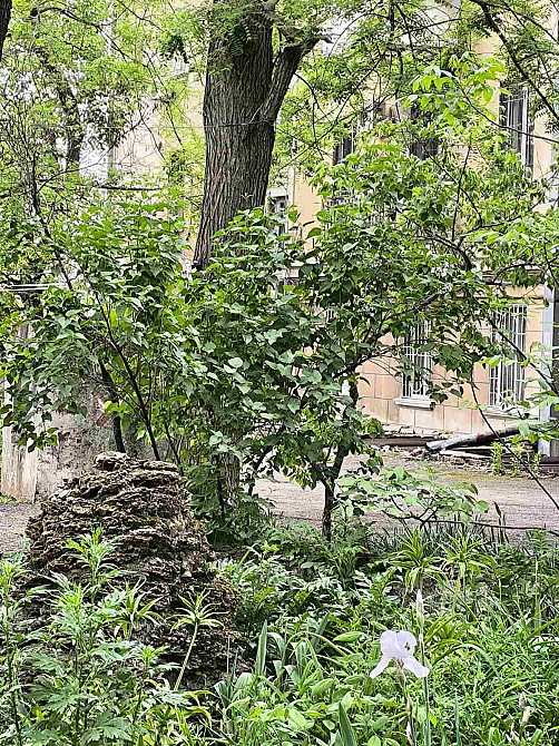 2х комнатная квартира сталинка, Ольгиевский спуск Одеса - фото 15