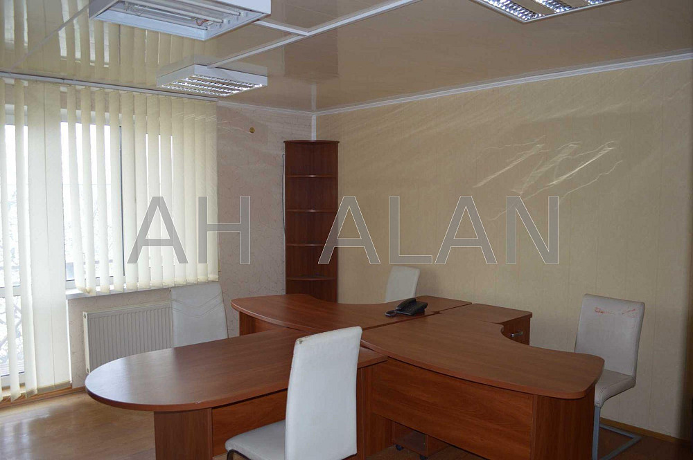 Оренда Будинок 12-кімнатний на вул. Вершигори Петра Київ - фото 5