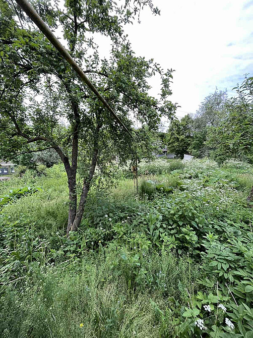 Продаж Будинок на Коцюбинського, 70 Тязів - фото 7