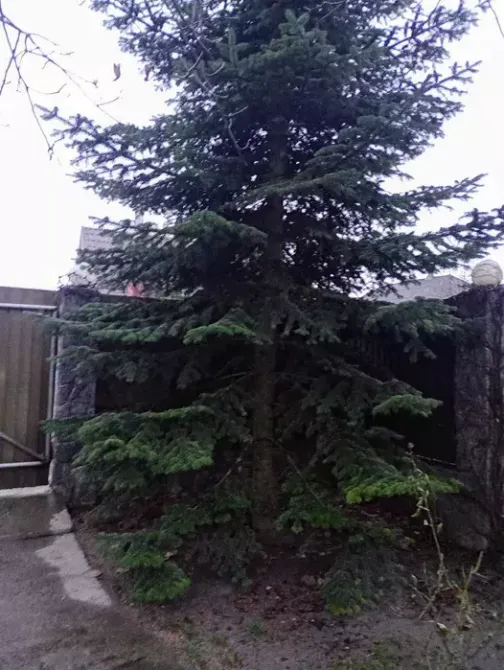 Продаж Будинок Днепр - изображение 2