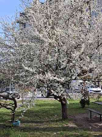Продаж Квартира 3-кімнатна, 5/5 поверх на вул. Горбача Кременець